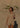 SALANIDA Polo Shirt and Lace Shorts Co-ord in Beige | COCO